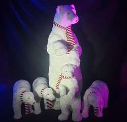 famille ours blancs location